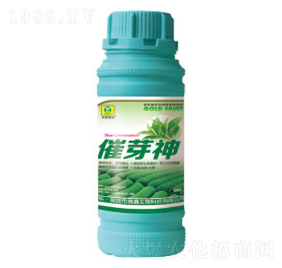 ��ѿ��-��������