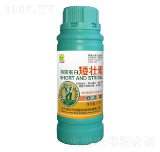 ���嵰�װ�����-��������