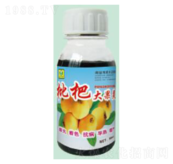 ���˴����-��������