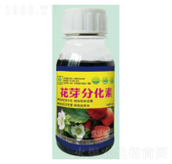 ��ѿ�ֻ���-��������