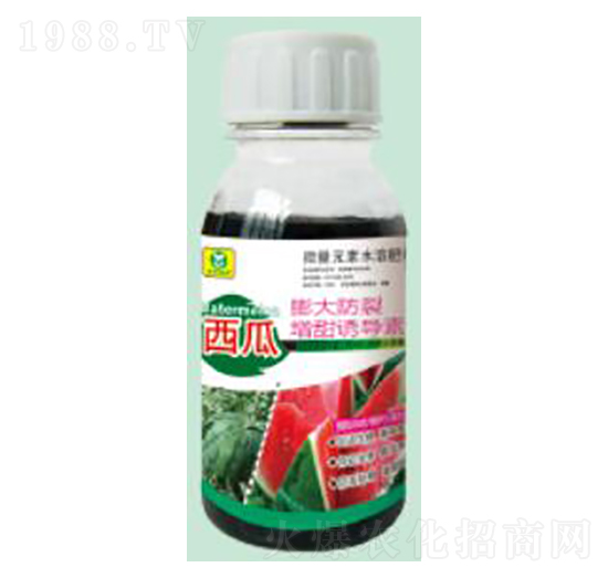 ���������������T��(d��o)��-��������