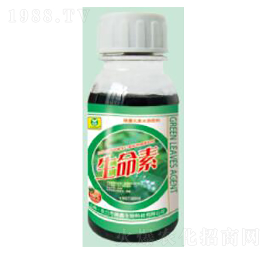 ������50ml-��������