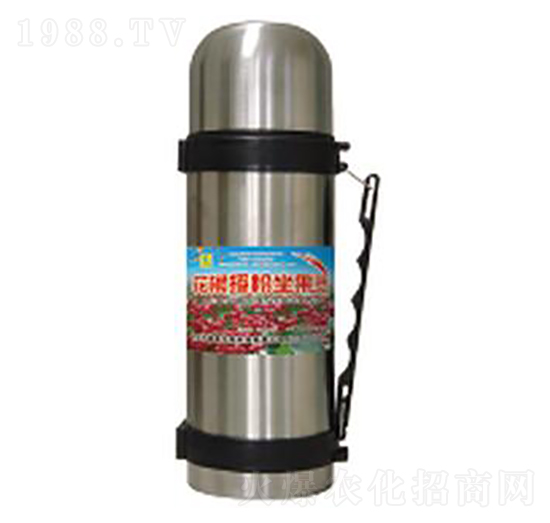 �����ڷ������`-��������