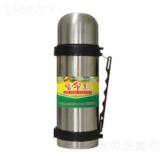 �����أ�����-��������