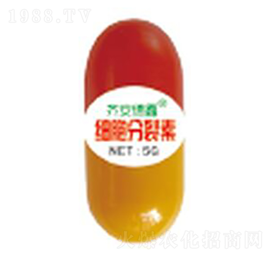 5g��(x��)��������-��������