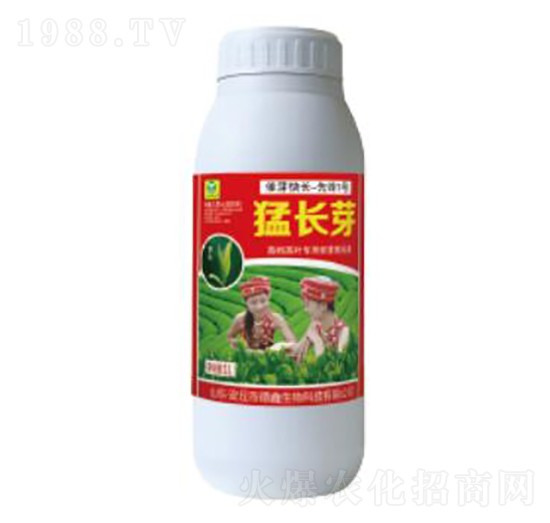 ���Lѿ-��������