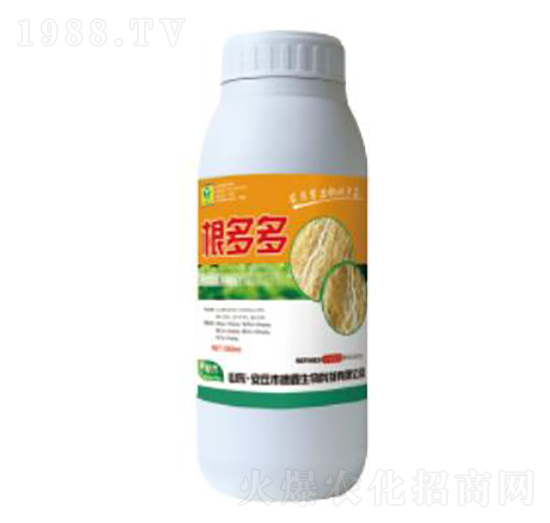 �����-��������