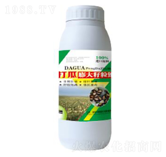 ����������-��������