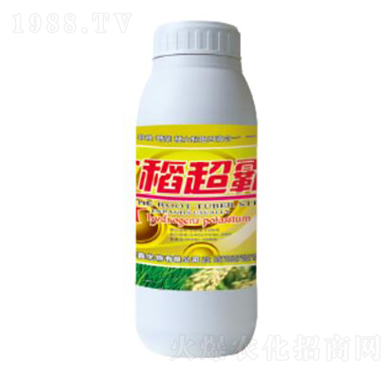 ������-��������