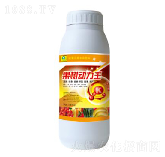 ���������-��������