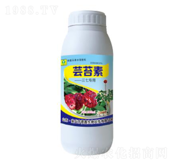 �|̦�����ߌ�(zhu��n)��-��������