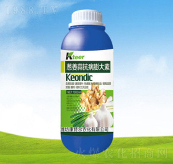 �[���⿹�������-���ؠ��r��