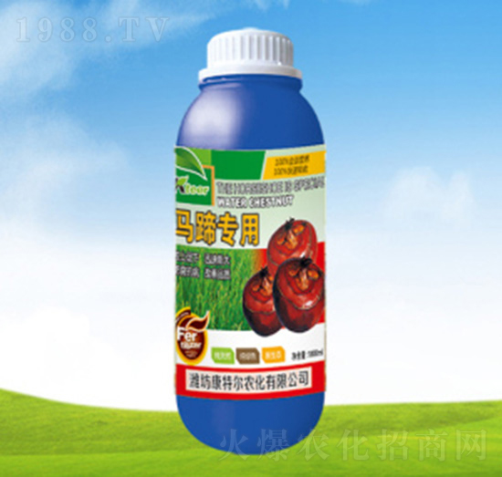 �R�㌣�þ�Ʒ�~���-���ؠ��r(n��ng)��