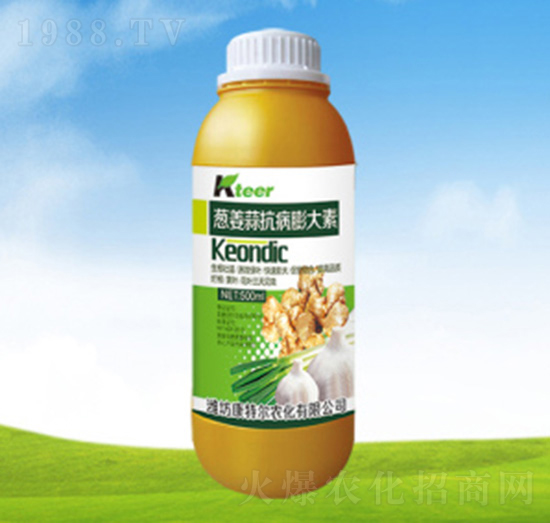 ƿ�b�[���⿹�������-���ؠ��r��