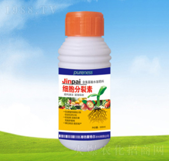 ����������-���ؠ��r��