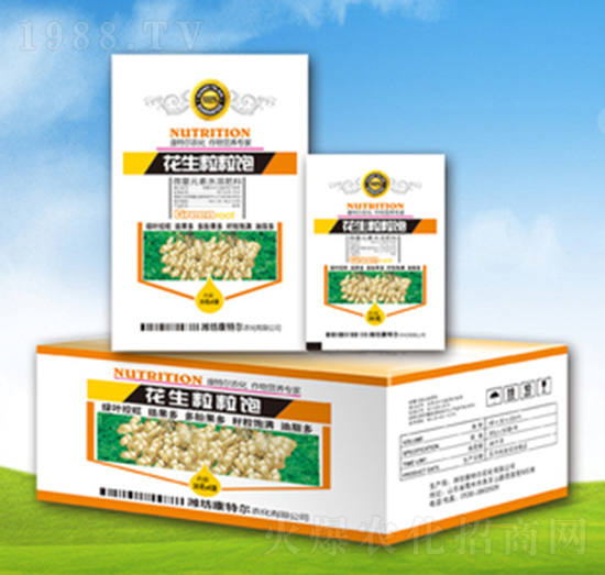 ���������-���ؠ��r��