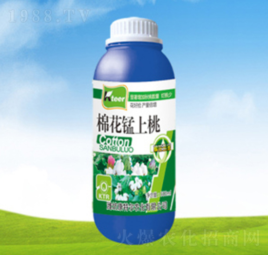 �޻�������-���ؠ��r��