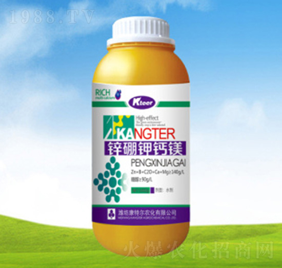 1000���\����}�V-���ؠ��r��