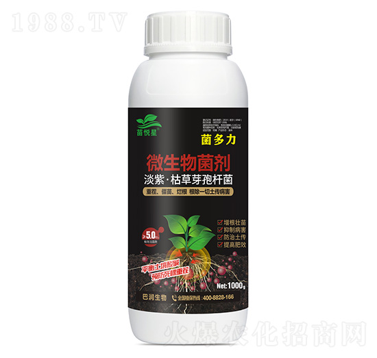 ������΢�������-�琂��-�͝�(r��n)����