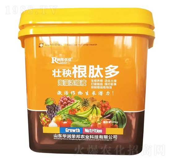 �������Ķຣ���sҺ-����փ�(y��u)-�A���s��