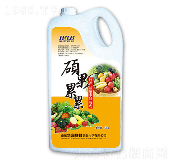 �T������-�A���s��