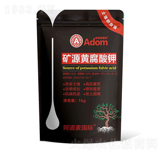 �VԴ�S�����-������