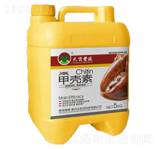 �ך���-�쌚�Sʢ-���P�