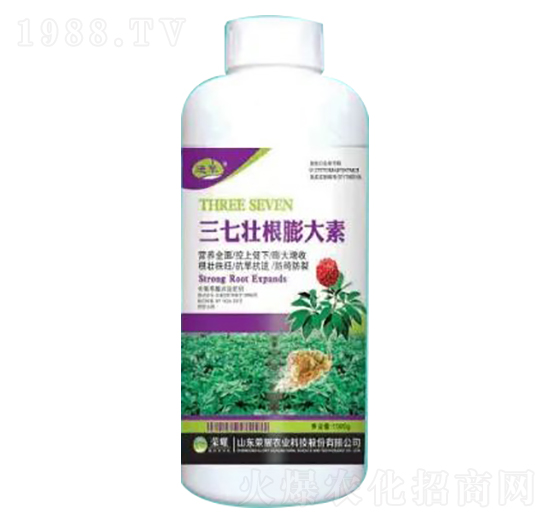 1000g���߉Ѹ������-�sҫ�r�I(y��)