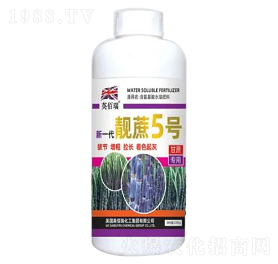 1000g��һ���n��5̖(h��o)-�sҫ�r(n��ng)�I(y��)