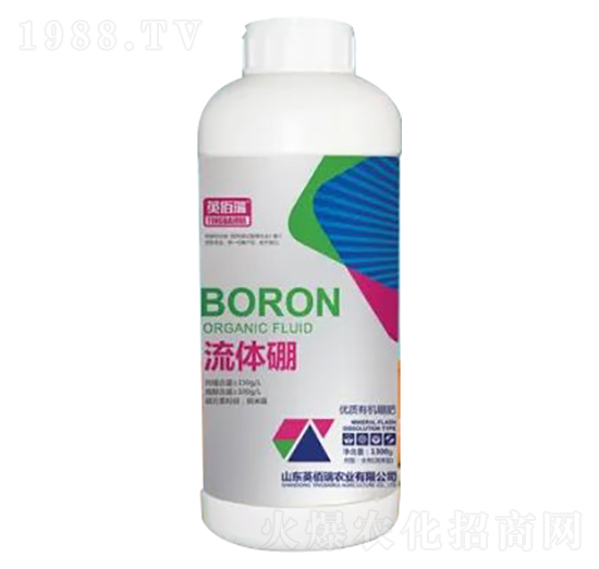 1300g��(y��u)�|(zh��)�ЙC(j��)���-���w��-Ӣ����-�sҫ�r(n��ng)�I(y��)