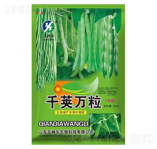 ������~���-ǧ�v�f��-����ţ