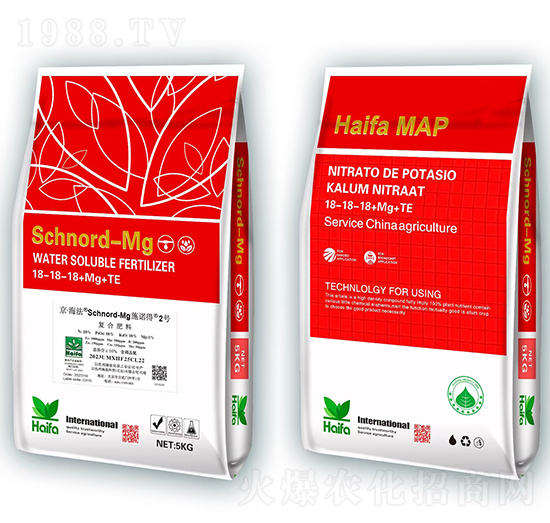 ʩ�Z��2̖18-18-18+Mg+Te-�������Q(m��o)