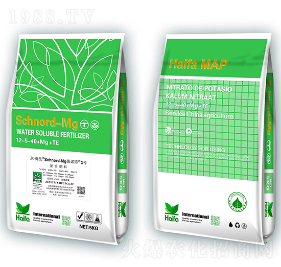 ʩ�Z��3̖12-5-40+Mg+Te-�������Q(m��o)