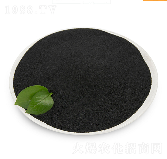 �S����-���B��