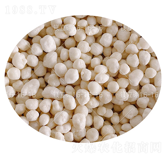 ������͏�(f��)�Ϸ��ϣ��w����16-16-16-�V����-���컯�r(n��ng)�Y