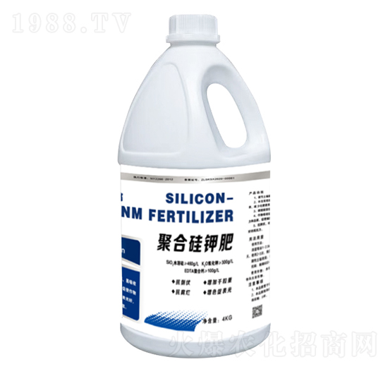 �ۺϹ�⛷�-����һ̖-���r��