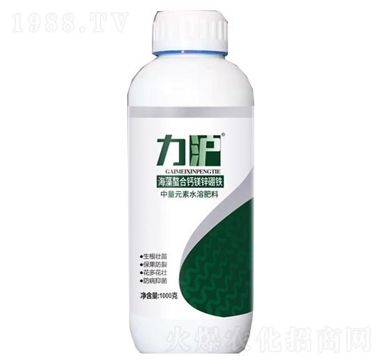 1000g���������}�V�\���F-��������