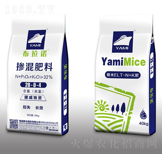 �������28-0-4-�����Z-�����r(n��ng)�I(y��)