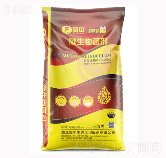 5�|΢�������-��˹���r(n��ng)�I(y��)