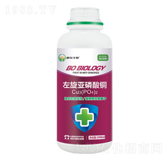 ΢�������-�����������~-��������