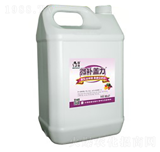 ��sҺ�w�����}-΢�a�w��-΢�aֲ��