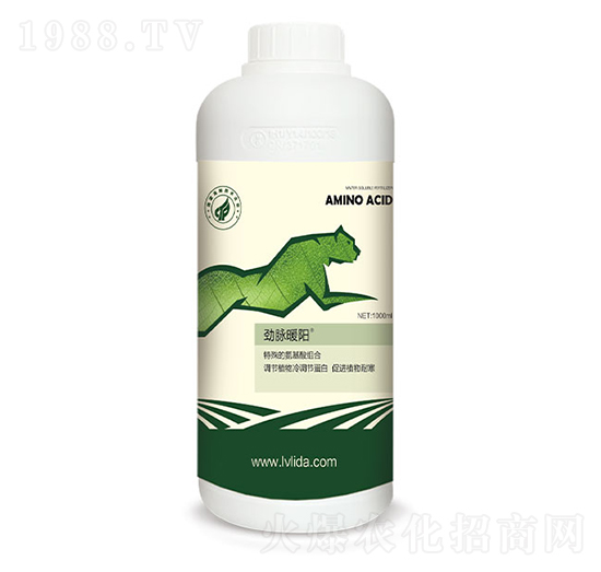 ���{(di��o)��(ji��)���״��M(j��n)��-���}ů�(y��ng)-�G���_(d��)