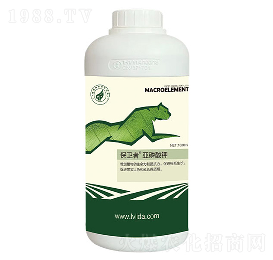 �������-���}���l(w��i)��-�G���_(d��)