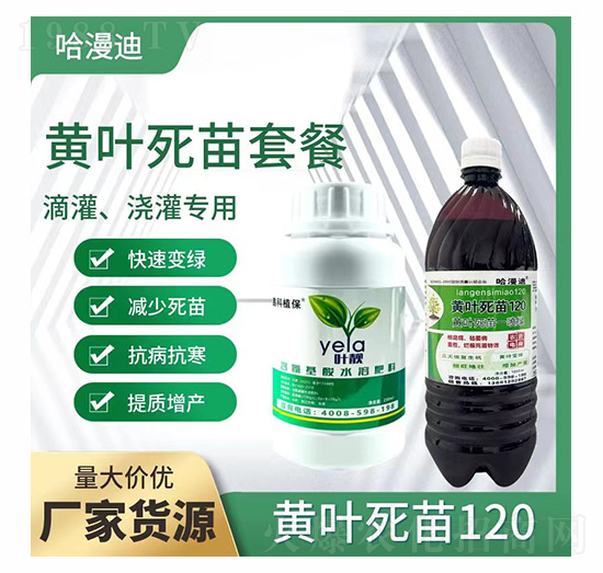 �S�~����һ���G�ײ�-�ο�ֲ��