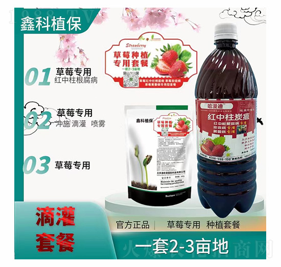 草莓炭疽病套餐-鑫科植保