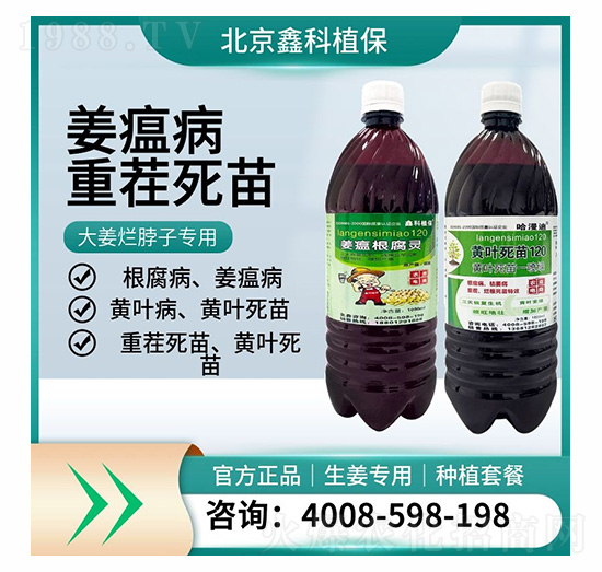 �����Nֲ�ײ�-�ο�ֲ��