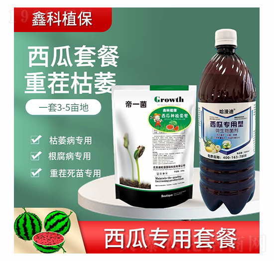 ���ό�(zhu��n)���ײ�-�ο�ֲ��