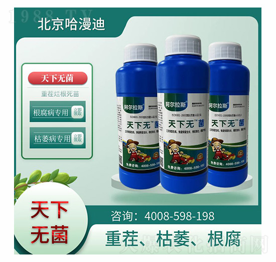 ���o(w��)��-�ο�ֲ��