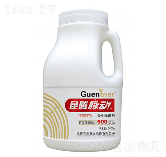 ΢�������-���v�}��-���v����