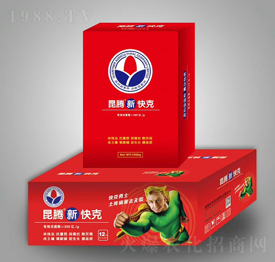 ���v�¿��-���v����